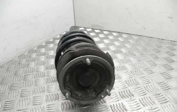 BMW X1 E84 Front shock absorber/damper 6851333