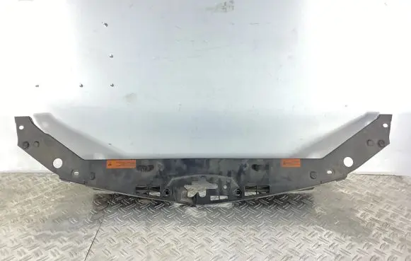 Engine bonnet/hood lock trim molding