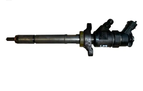 Citroen C3 Fuel injector 0445110311