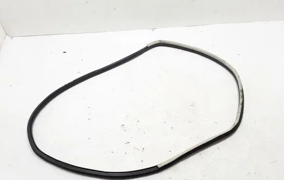Renault Espace V (RFC) Front door rubber seal 808336750R