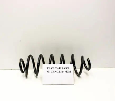 Rear coil spring