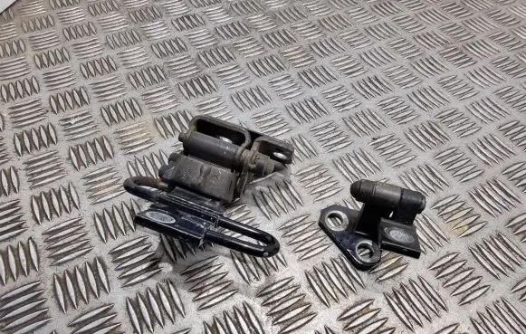Volkswagen PASSAT B7 Rear door hinge set 