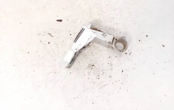 Skoda Superb B5 (3U) Rear door lower hinge