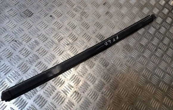 Ford Fusion II Rubber seal rear door NERA