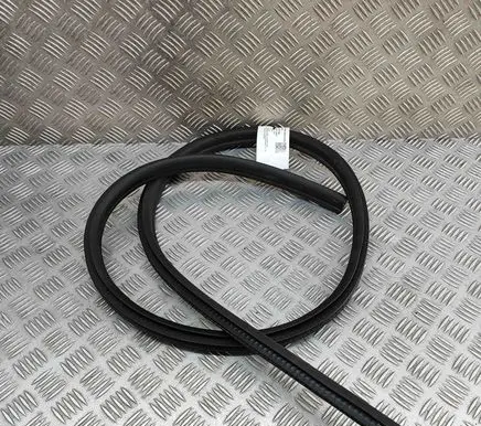 BMW Z4 E89 Rubber seal front door (on door) 7046102