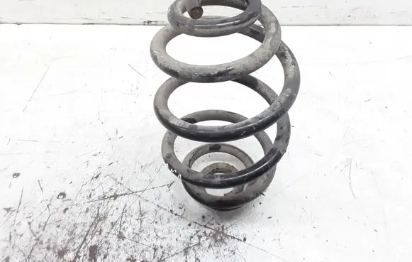Volkswagen PASSAT B5.5 Rear coil spring