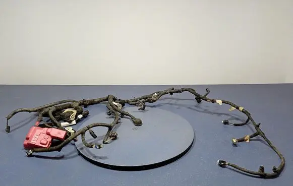 Ford Mustang I Other wiring loom LJ8T12B637NBG