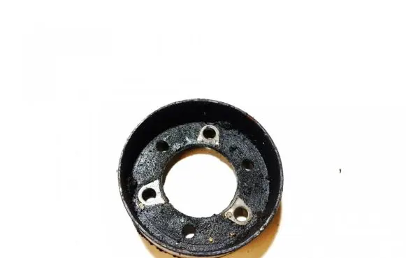 Renault Laguna I Water pump pulley 