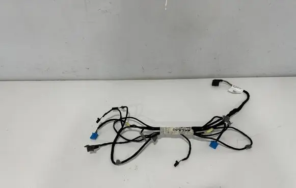 Other wiring loom