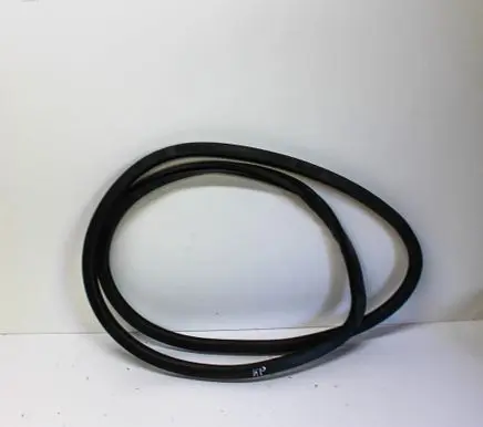 Volkswagen Phaeton Rubber seal front door (on door) 3D4867365