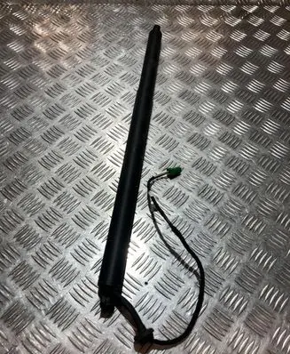 Peugeot 3008 III Tailgate strut 9843423780