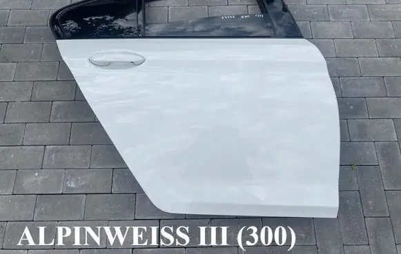 BMW 5 G30 G31 G38 Rear door