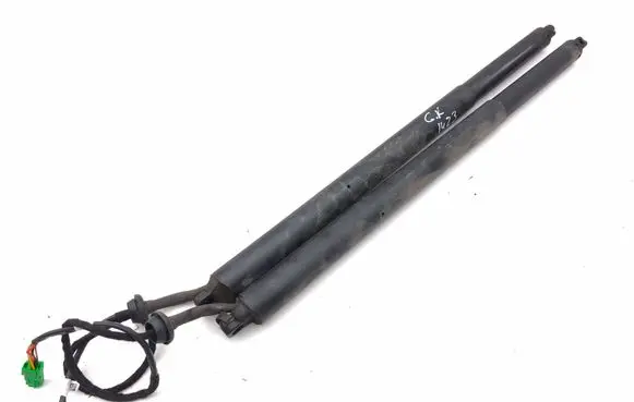 Peugeot 3008 III Tailgate/trunk strut/damper 9843298380 9843423780 24T251D00057