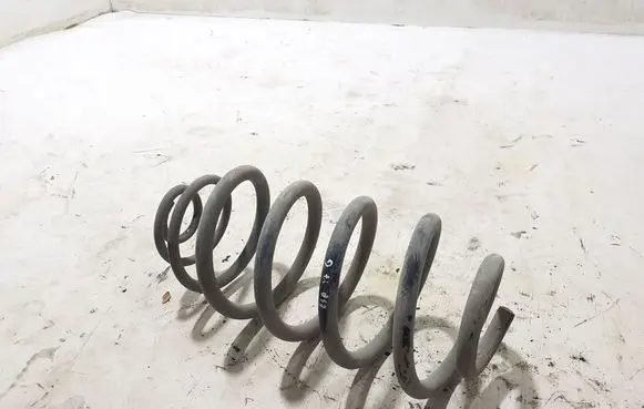 Peugeot Expert Rear coil spring 9824932080