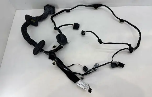 Renault Scenic IV - Grand scenic IV Front door wiring loom 242106643R