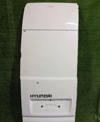 Hyundai Solati H350 Rear door