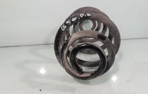 Volkswagen PASSAT B5.5 Rear coil spring