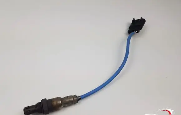 Fiat Punto (199) Lambda probe sensor 5521979