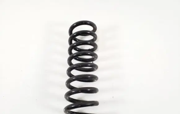 Mercedes-Benz SLK R171 Rear coil spring A2083240004