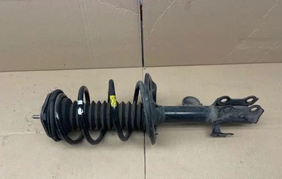 Toyota RAV 4 (XA40) Front shock absorber/damper 4851042390