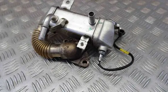 EGR valve cooler