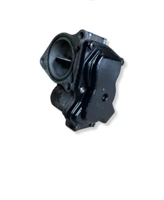 Renault Scenic III - Grand scenic III Throttle valve H8200744823 254903371
