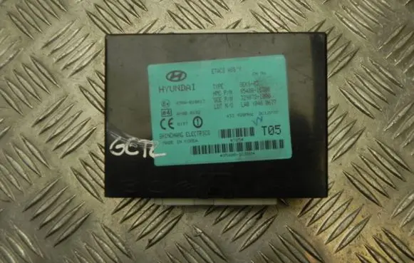 Hyundai Getz Other control units/modules 954001C300 G3958