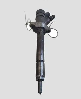 Peugeot 307 Fuel injector 0445110259 328480