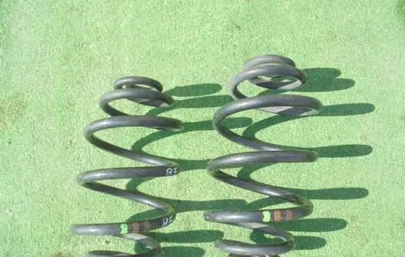 Volkswagen PASSAT B5.5 Rear coil spring