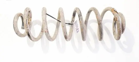 Rear coil spring