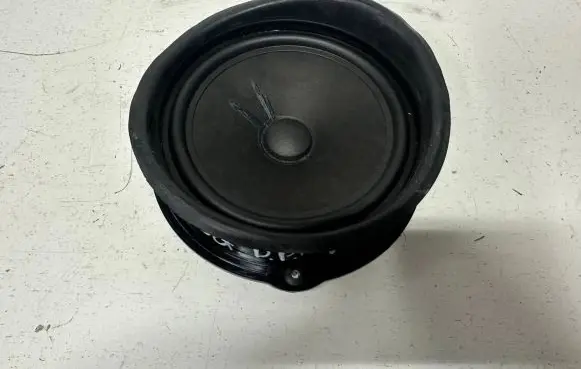 Front door high frequency speaker