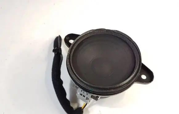 Panel speaker