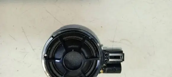 Front door high frequency speaker