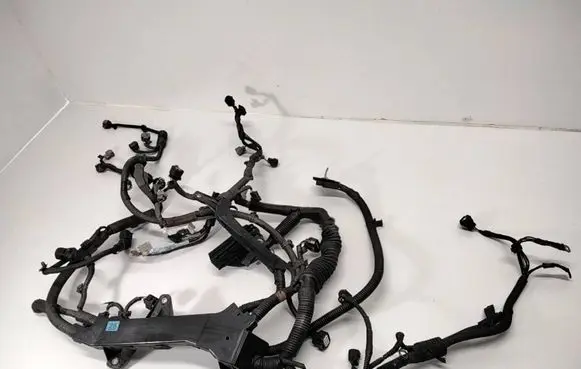 Engine installation wiring loom