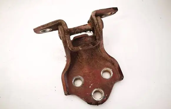 Hyundai Santa Fe Rear door lower hinge 