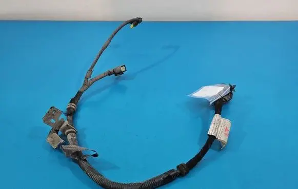 Alfa Romeo Stelvio Other wiring loom 00505518450 IMPRK1593203