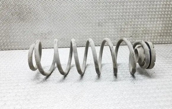 Rear coil spring