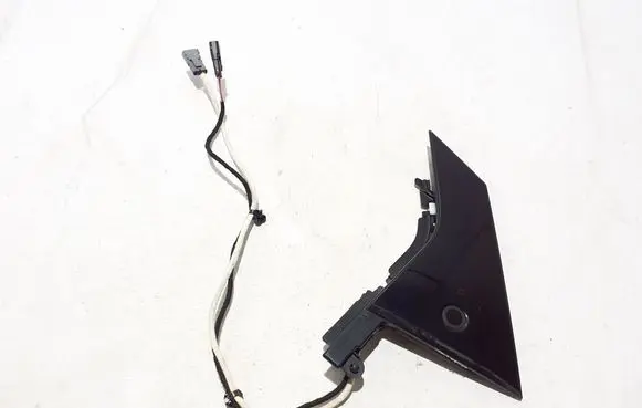 Ford Mach-E I Rear door trim (molding) LJ8BR254A43AG59B8