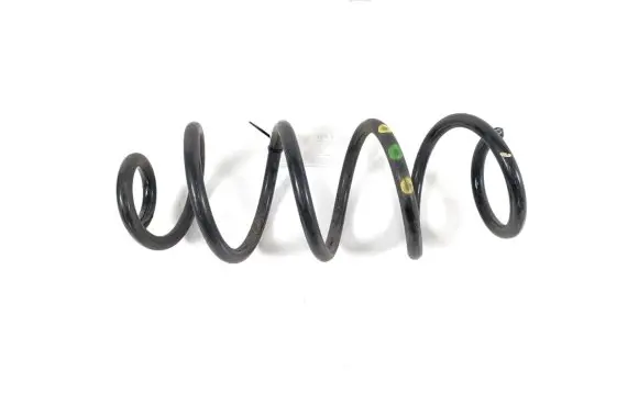 Dacia Sandero III Rear coil spring 550207929R