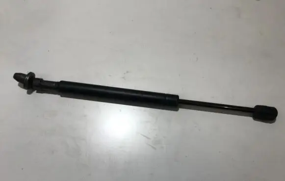 Tailgate/trunk strut/damper