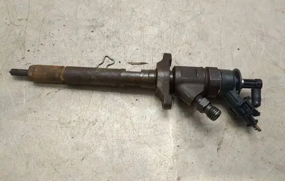 Citroen C4 I Fuel injector 0445110353