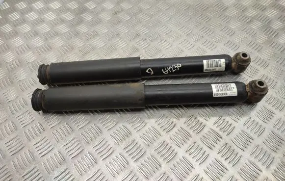 Opel Grandland X Rear shock absorber/damper 9824958980
