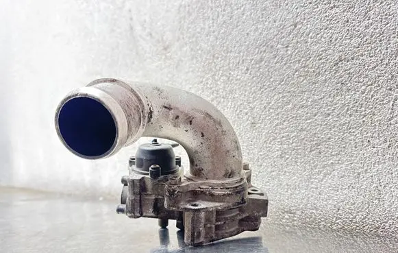 Opel Zafira B Throttle valve 55556011 B66028906