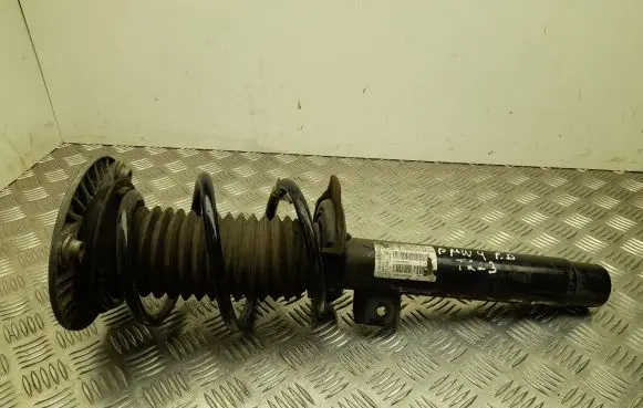 Front shock absorber with coil spring