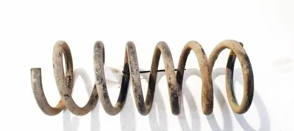 Ford S-MAX Rear coil spring 