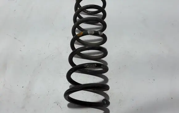 Rear coil spring