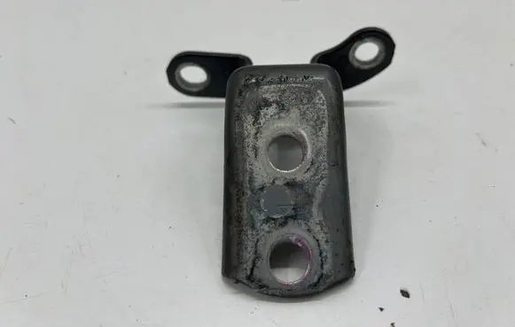 Toyota C-HR I Rear door lower hinge 