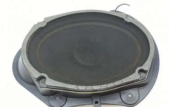 Chrysler 300 - 300C Front door speaker P05059067AC