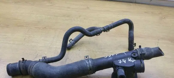 Thermostat/thermostat housing
