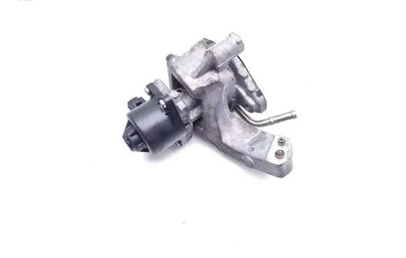 Toyota RAV 4 (XA50) EGR valve 